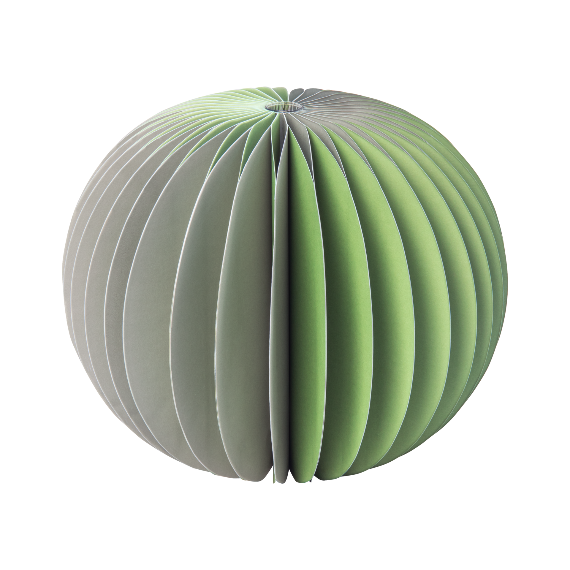 © REMEMBER © REMEMBER